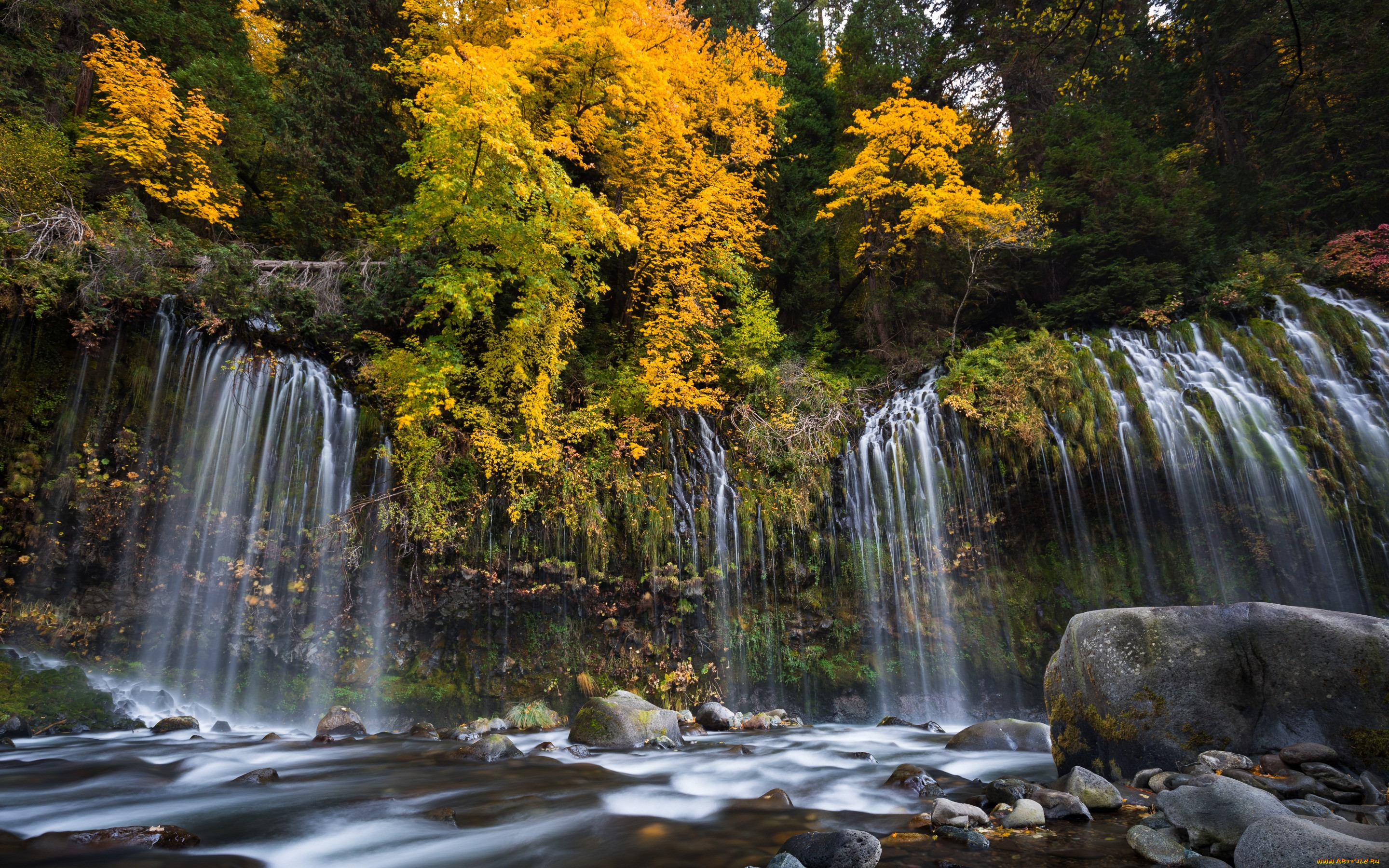 Водопад лесной фото